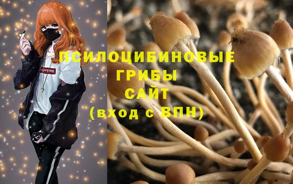 spice Сафоново