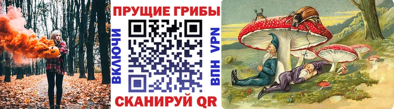 Псилоцибиновые грибы Cubensis  МЕГА ссылки  Бодайбо  как найти наркотики 